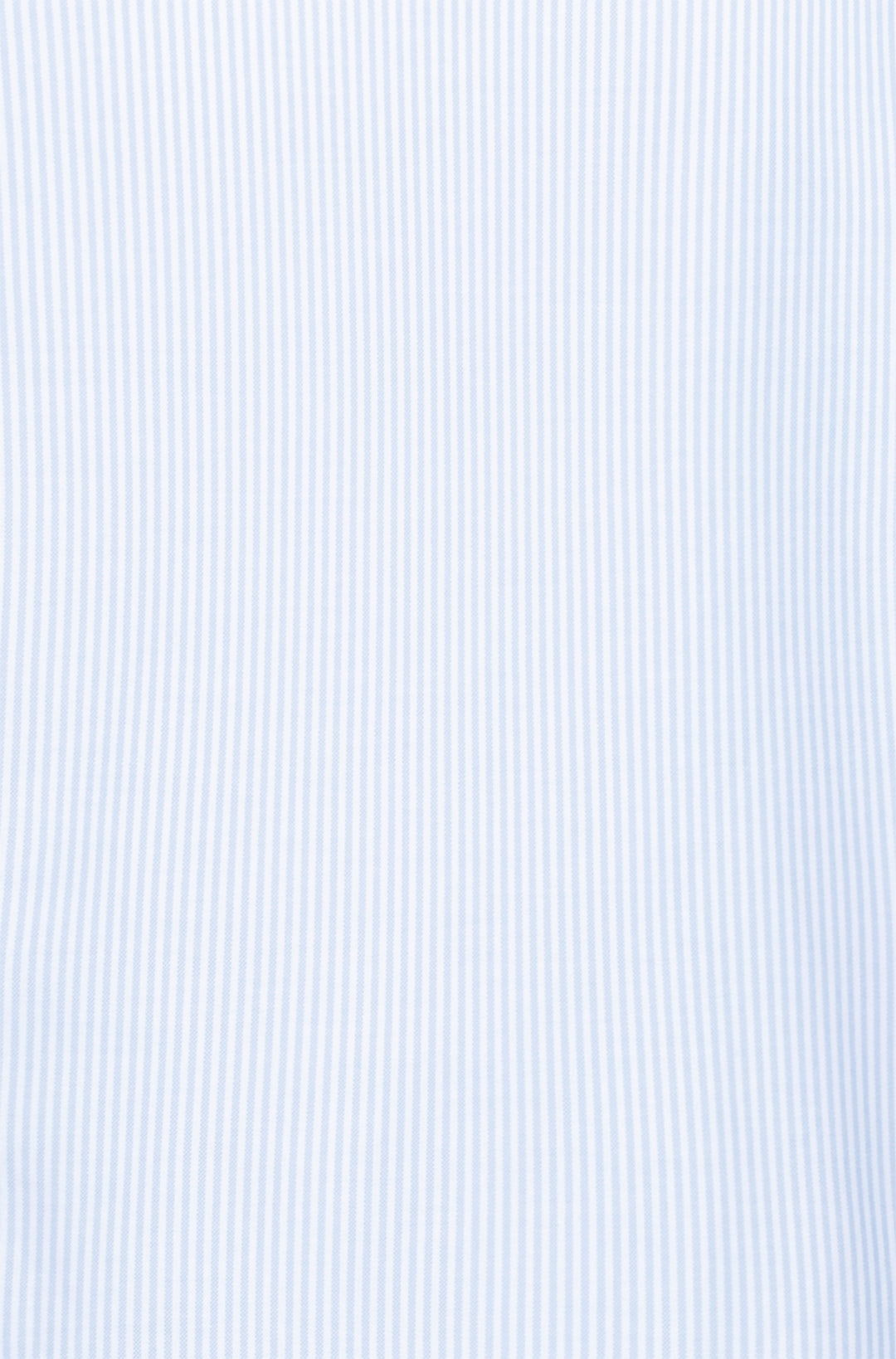 Men shirt Regular Fit / Button-down collar